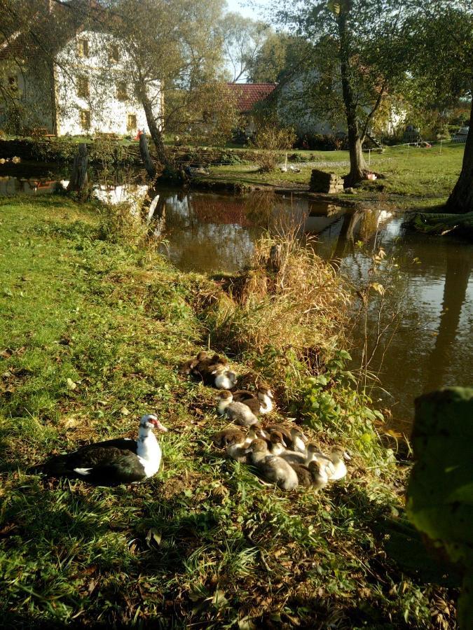 BioFarma Dolejší Mlýn Kamberk Exterior foto