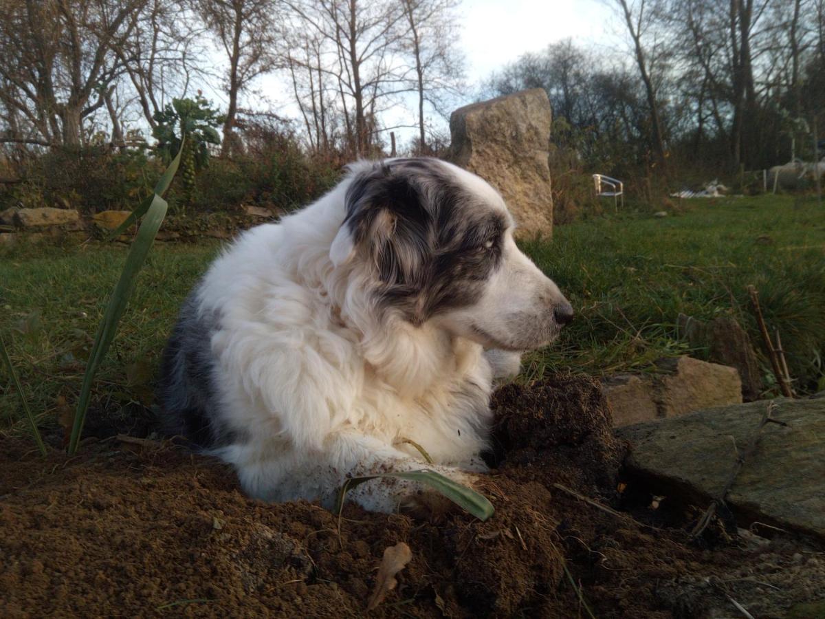 BioFarma Dolejší Mlýn Kamberk Exterior foto