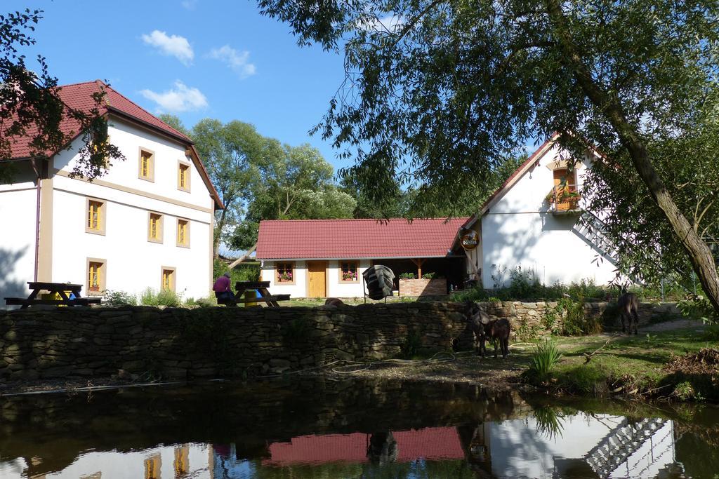 BioFarma Dolejší Mlýn Kamberk Exterior foto