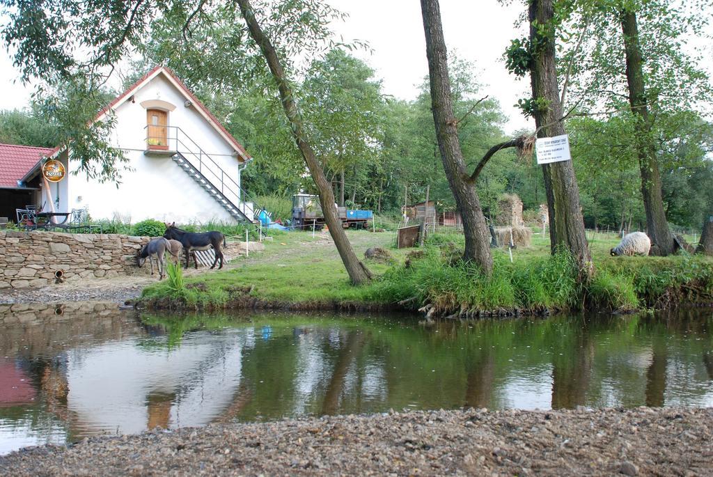 BioFarma Dolejší Mlýn Kamberk Exterior foto