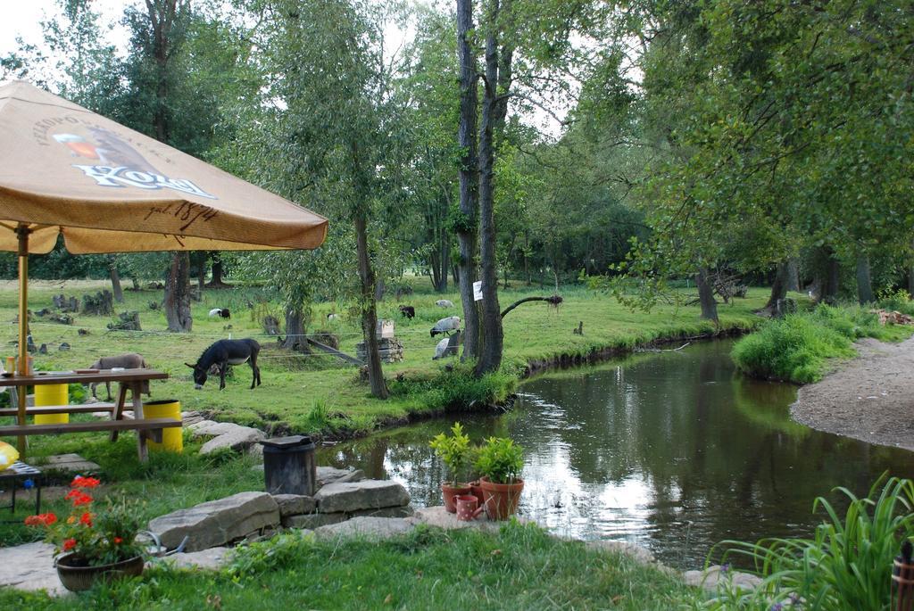 BioFarma Dolejší Mlýn Kamberk Exterior foto