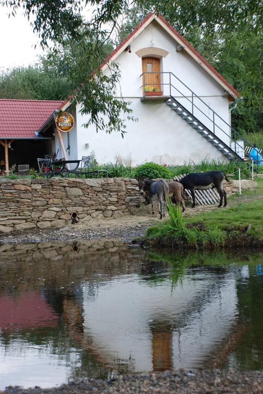 BioFarma Dolejší Mlýn Kamberk Exterior foto